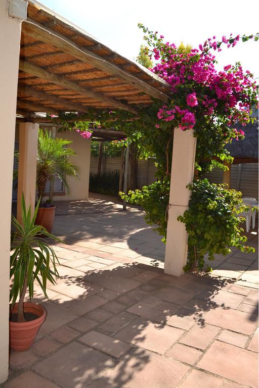 Dove'S Nest Guest House Kempton Park Bagian luar foto